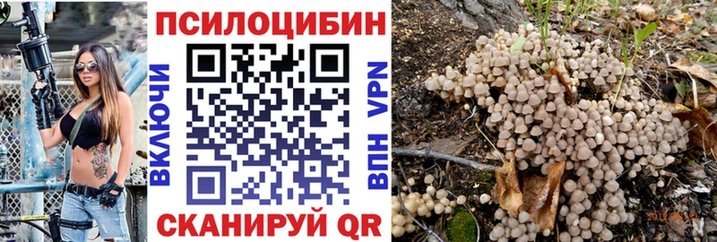 Купить где  Нефтеюганск  Галлюциногенные грибы прущие грибы 